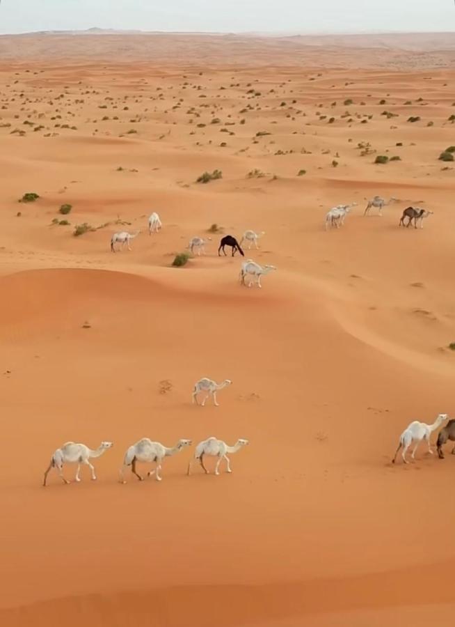 Desert Diamond Private New Camp Badīyah Kültér fotó